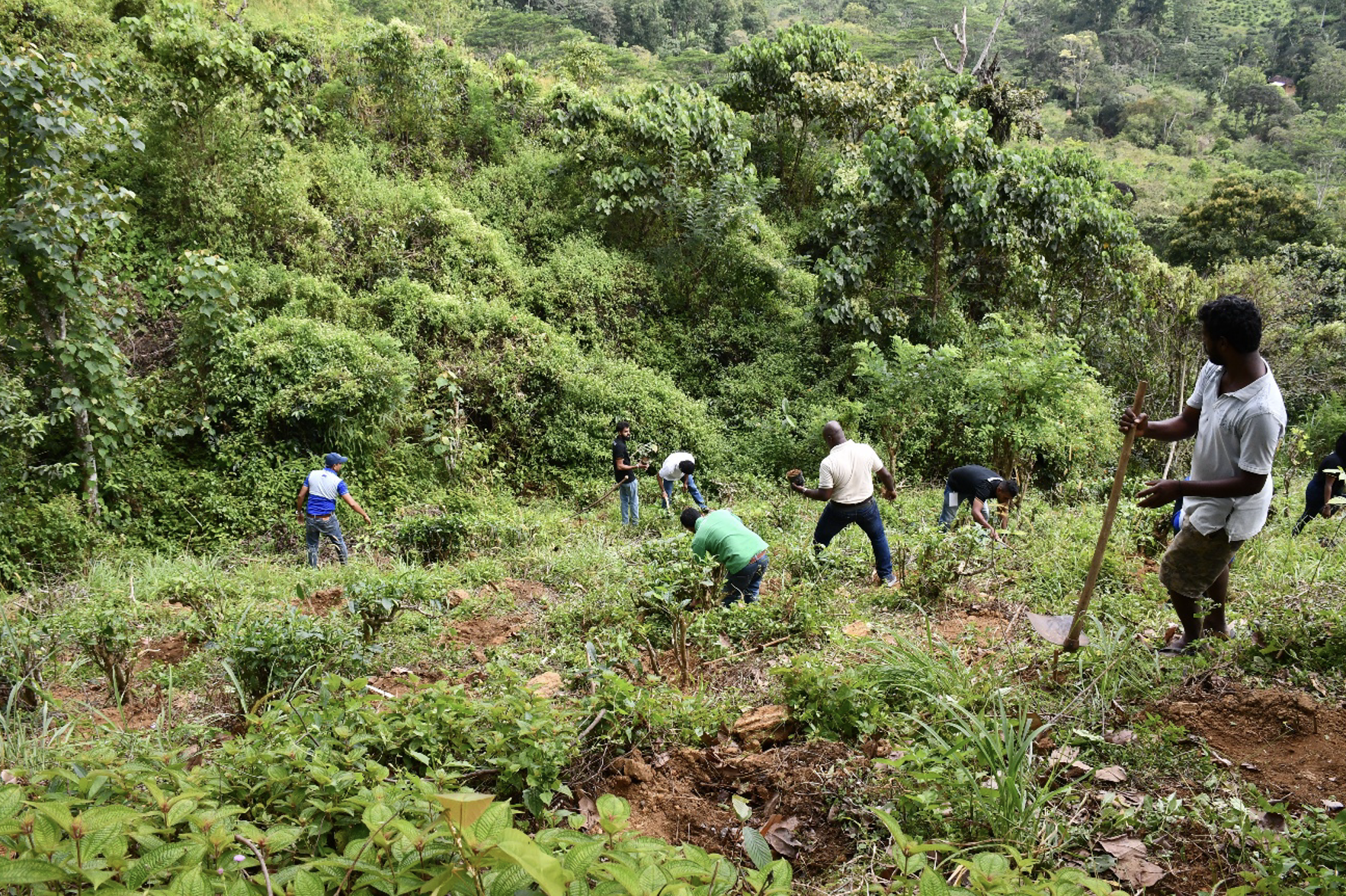 Green Building Council Certificate